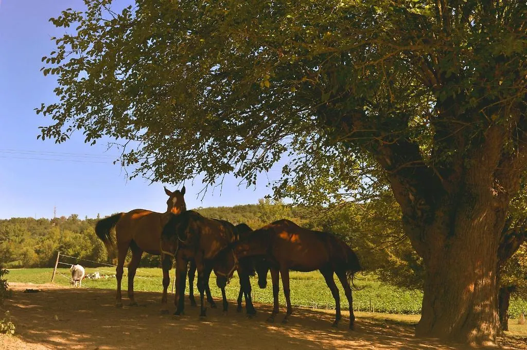 Bed and Breakfast Domaine de Belcayre Montauban